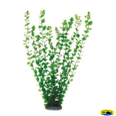 Ар1125 Растение пласт 400мм Бакопа