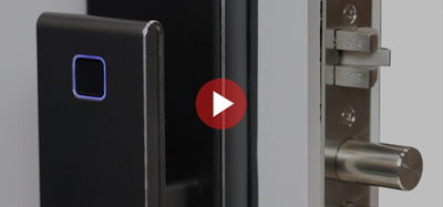 Электронный замок Smart lock DZ21Pro