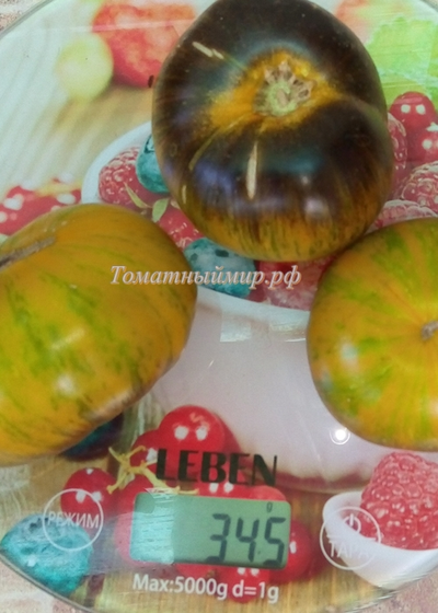 Томат Зеленая богиня Ксанаду (Xanadu Green Goddess), США