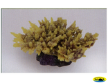 MA116PUY Коралл пластиковый желто-коричневый 14*11*6,5см