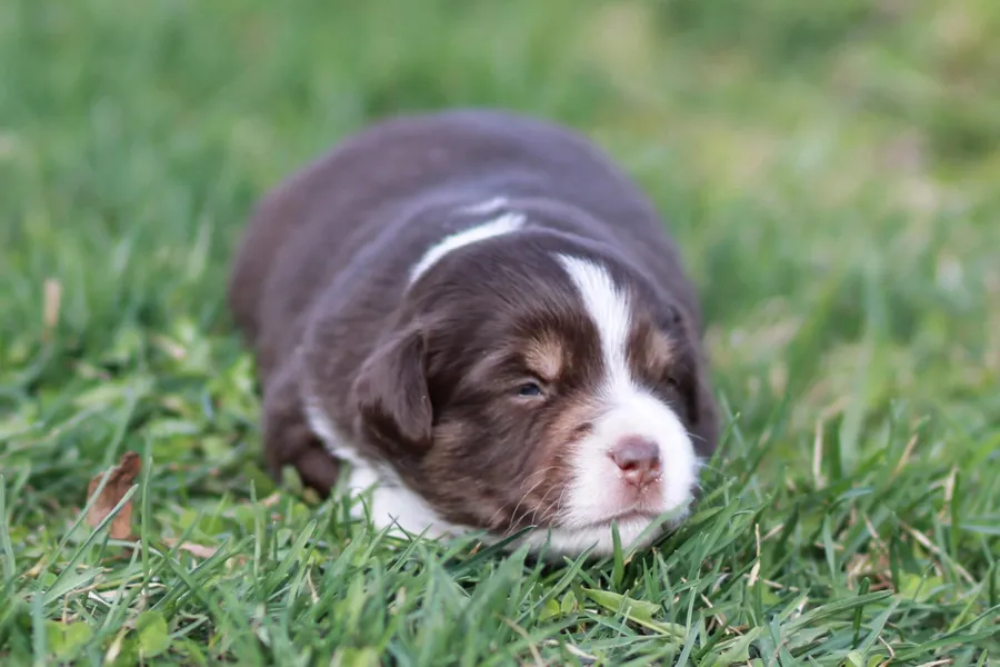 Юта, 3 недели