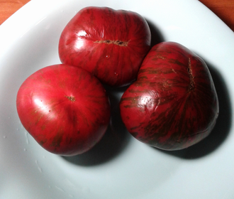 Семена томата Фестиваль Аделаиды Гном