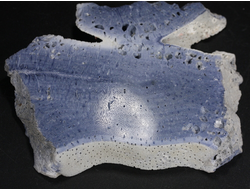 Коралл голубой Акори, Австралия (95*71*12 мм, 123 г) №37717