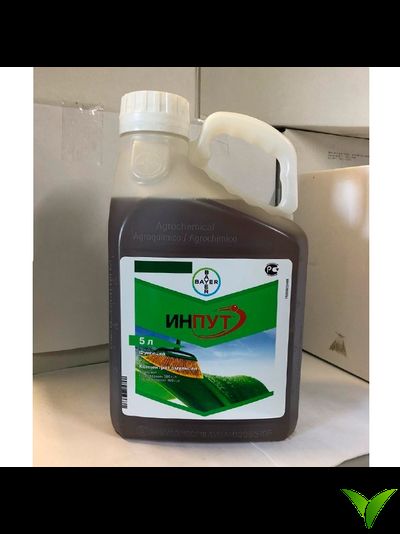 Инпут КЭ 5 л
