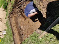 ЕВРОЛОС БИО 4+