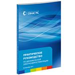  Практическое руководство ДЭНС