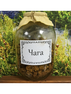 Чага на развес 100 г.