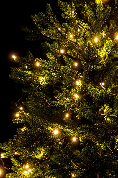 Гирлянда ёлочная, 12 метров, 160 LED/ тепло- желтый