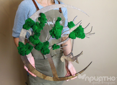 ЖИВАЯ ЭКО-КАРТИНА 1013