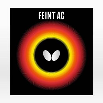 FEINT AG