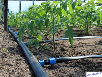 Капельная лента Шаг 30см бухта 50м  6mils