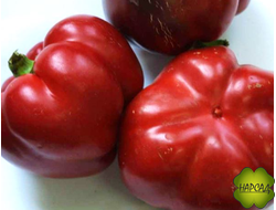 Перец сладкий "РУБИНОВЫЙ КУБОК" (1м, 200 г, стенка 8 мм) ОЧЕНЬ ВКУСНЫЙ И АРОМАТНЫЙ