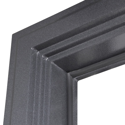 Стальная дверь    Беркут с зеркалом