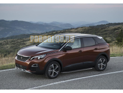 Пороги на Peugeot 3008 (2017-…) Premium