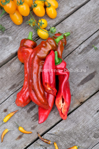 Перец сладкий Палермо Красный, 10 шт