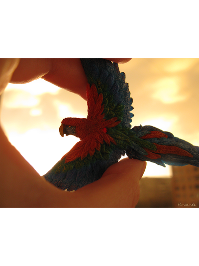 Ара, настоящий попугай. Брошь с попугаем. Миниатюра из полимерной глины