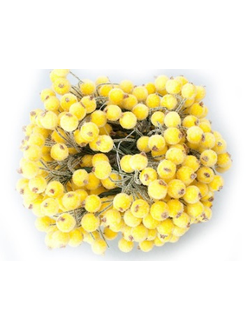 Рябина на ветке в сахаре, цвет желтый (упаковка 20 штук)