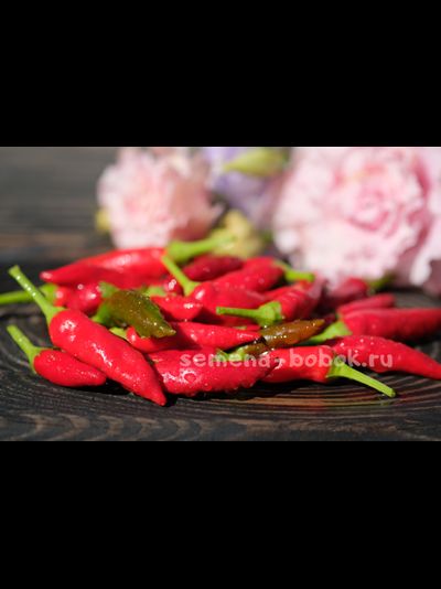 Перец острый Chile Santaka Hot Asian, 10 шт