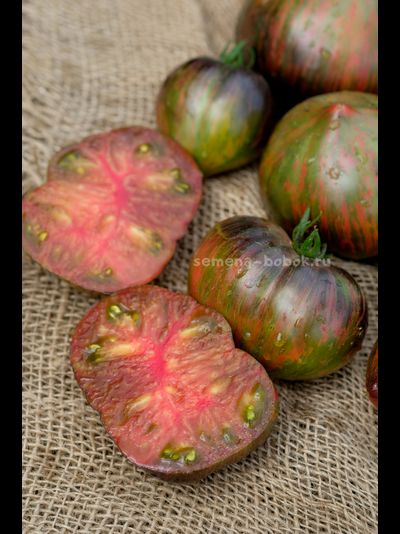 Томат Триумф Софии, 10 шт