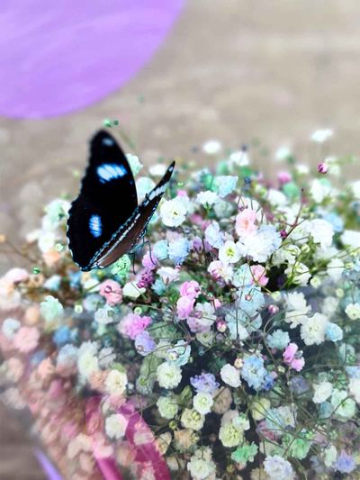 Букет из гипсофилы с бабочкой №57