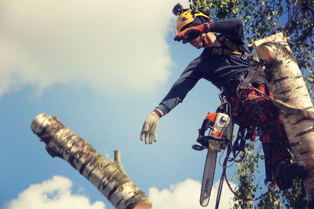 Удаление дерева по частям