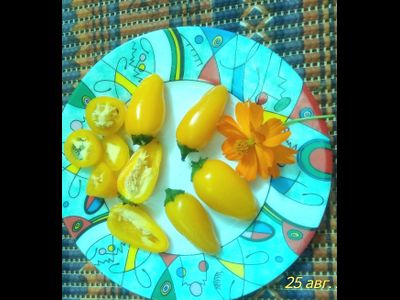 Перец острый Халапеньо желтый (Jalapeno Yellow)