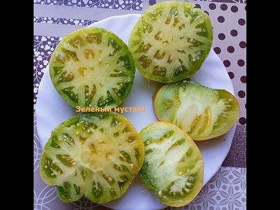 Томат Зеленый мустанг (Green Mustang)