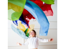 Пособия для технологии "Мягкая среда" от разработчика и производителя