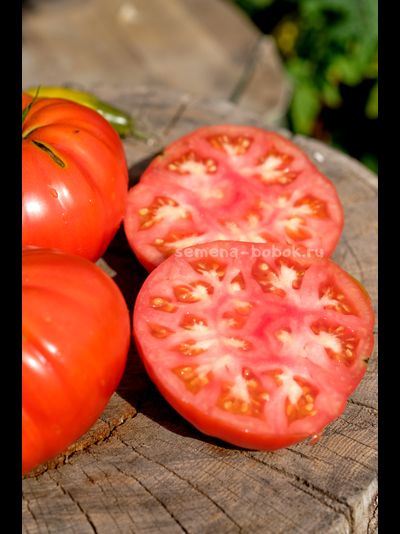 Томат Ивунтянский Великан, 10 шт