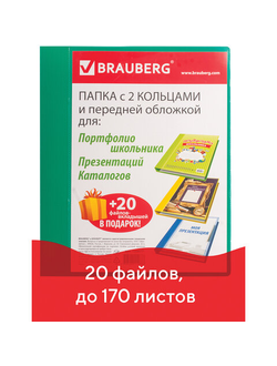 Папка для портфолио и презентаций, 2 кольца, 20 файлов, пластик, зеленая, BRAUBERG, 126677