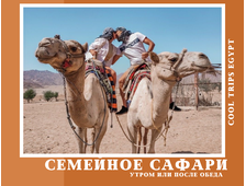 СЕМЕЙНОЕ САФАРИ (УТРО/ ПОСЛЕ ОБЕДА) ИЗ ХУРГАДЫ