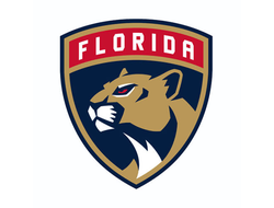 Флорида Пантерз