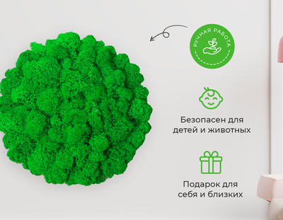 ЖИВАЯ ЭКО-КАРТИНА 1042