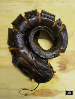 Сом г/к КОЛЕЧКО