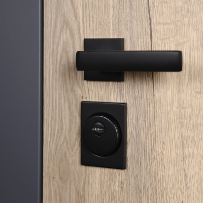 Стальная дверь   Бастион  (адаптивная замковая часть). Заказная