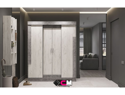 Шкаф-купе ГАММА