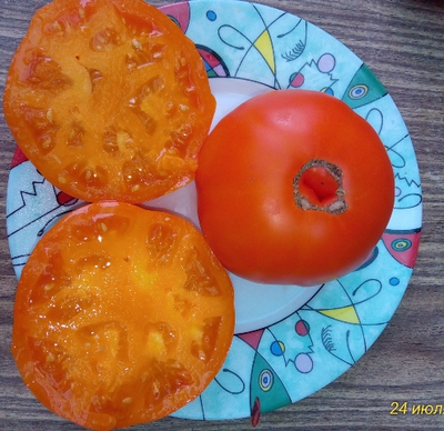 Томат Кубинский сладкий