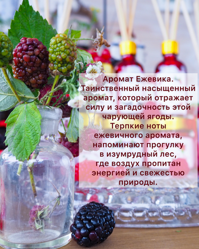 НАБОР ДИФФУЗОРОВ КОЛЛЕКЦИЯ «ЯГОДЫ» 4 АРОМАТА