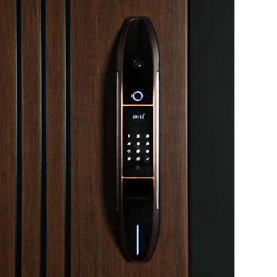 Стальная дверь   Фиджи. Заказная модель.