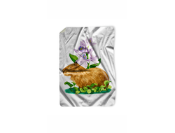 Покрывало Капибара, Kapibara-san №15