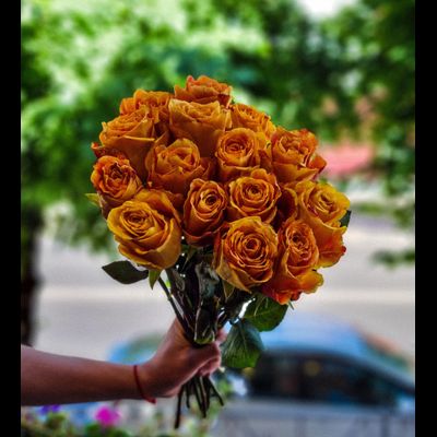 Роза Эквадор 50 см 15 шт