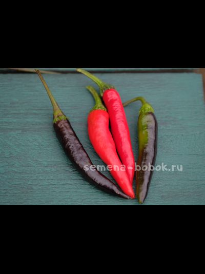 Перец сладкий Мурасаки Тогараши Ямато, 10 шт