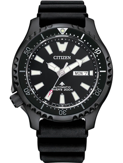 Наручные часы Citizen NY0139-11E