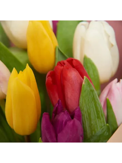 Букет из 15 тюльпанов: микс