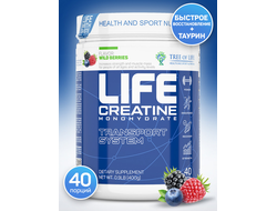 (Tree of Life) Life Creatine - (400 гр) - (лесные ягоды)