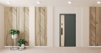 Стальная дверь   Ferrum (биометрический замок)