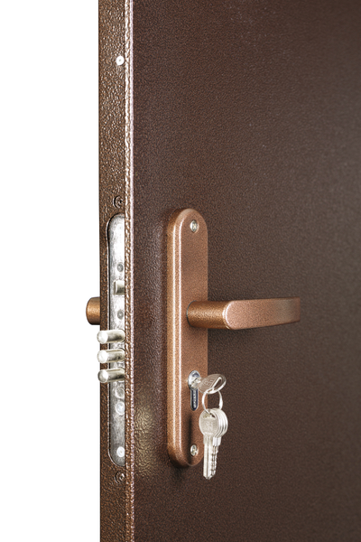 Дверь ПРОФИ PRO BMD