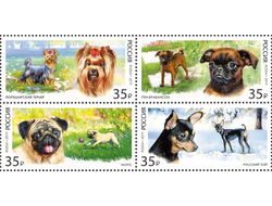 Марка. Декоративные породы собак. 4 шт. (кв.блок)