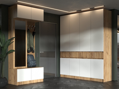 Прихожая РЕГИНА Дуб Крафт золотой/Белый