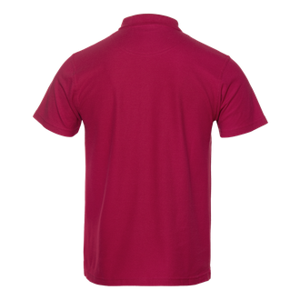 Рубашка поло мужская классик, цветные, арт.04